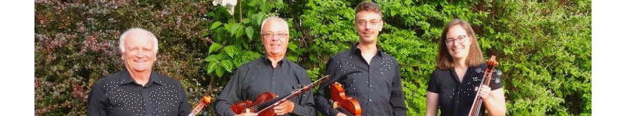 concert.gif